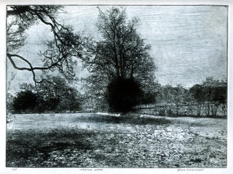 4. 'Weston Park'