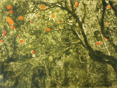 1. ‘Orange Tree - Menton’ (drypoint) 20 x 30 cms